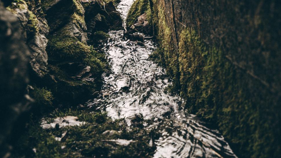 Free Image of Close-up of a mossy stream flowing between rocks. 