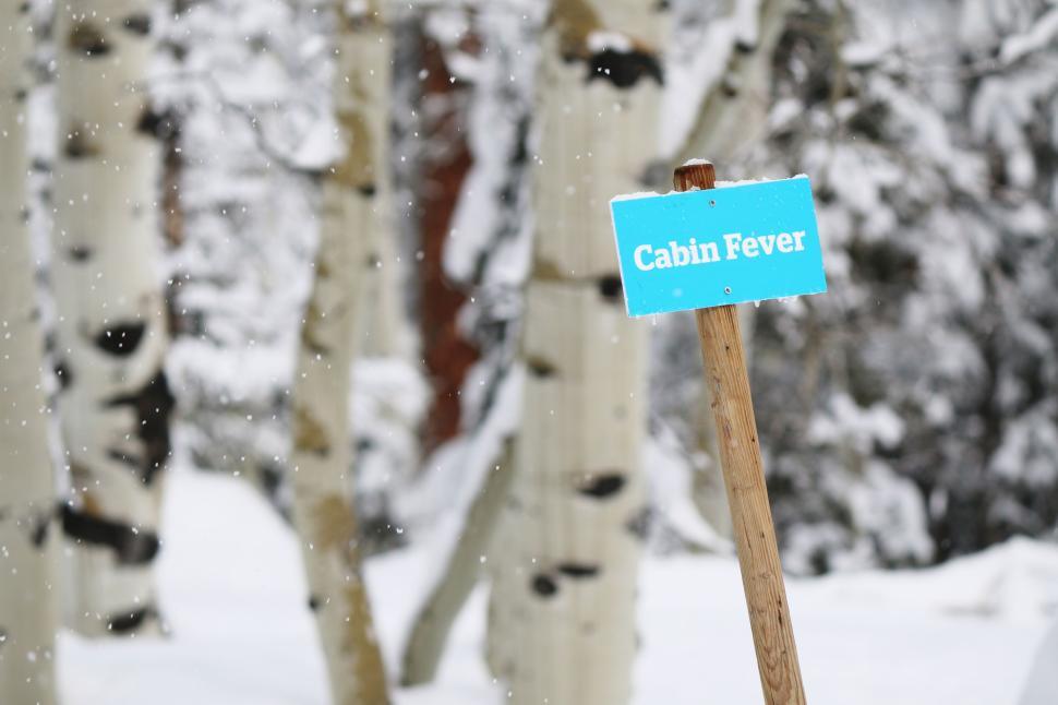 Free Image of Cabin Fever sign planted in snowy forest landscape 
