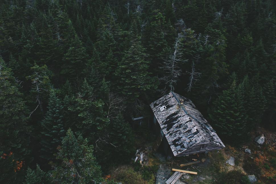 Free Image of Old cabin in dense forest landscape from above view. 