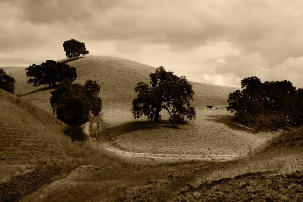 Free Image of Sepia toned image of trees on rolling countryside hills. 