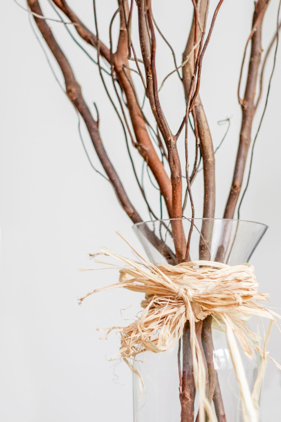 Free Image of Glass vase with dry branches wrapped in twine decor 