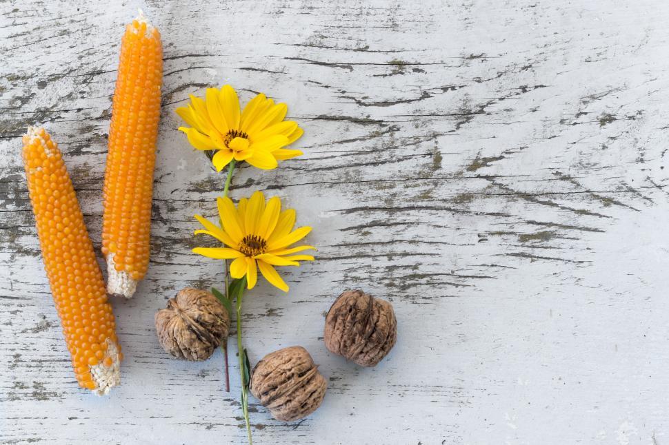 Free Image of Corn cobs, flowers and walnuts on rustic wooden table 