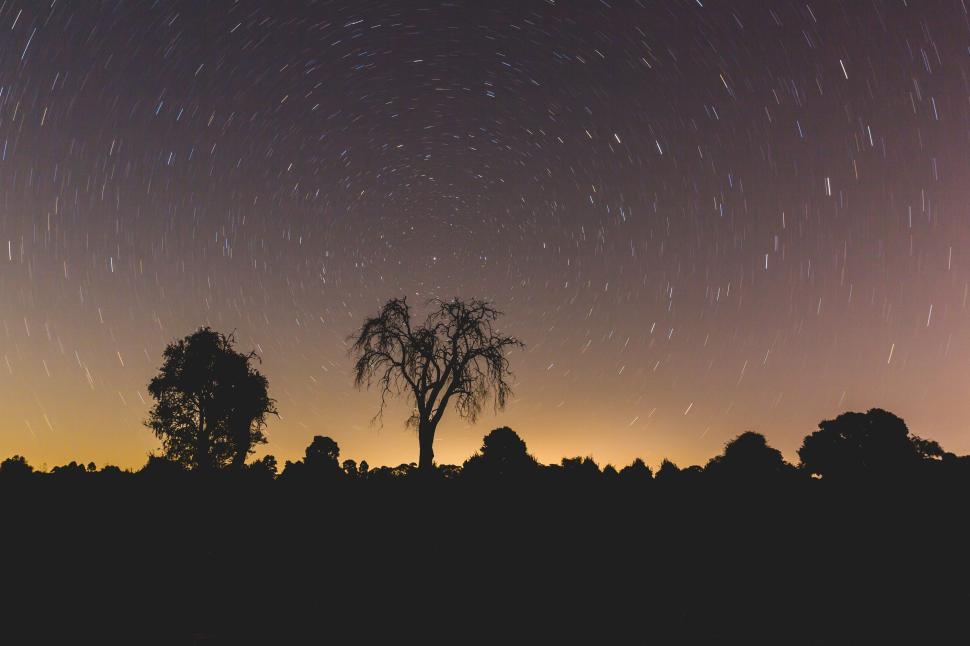 Free Image of Night sky panorama with star trails and silhouetted trees. 