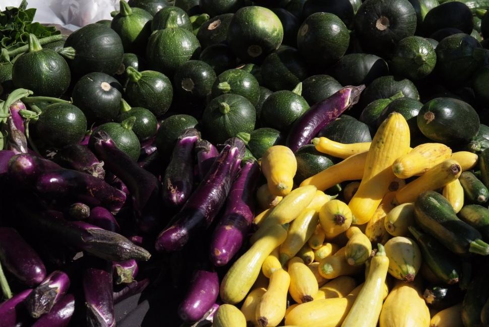Free Image of Squash  
