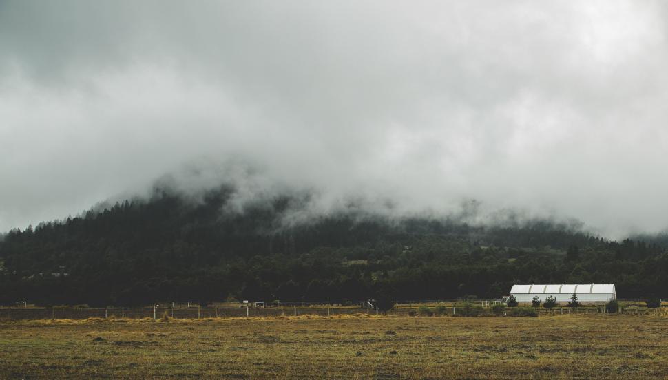 Free Image of Foggy hillside with a white greenhouse and fields 
