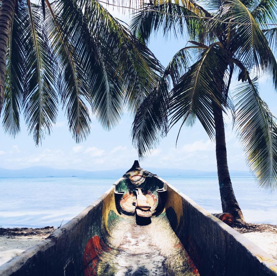 Free Image of Traditional wooden boat on a tropical beach between palms. 