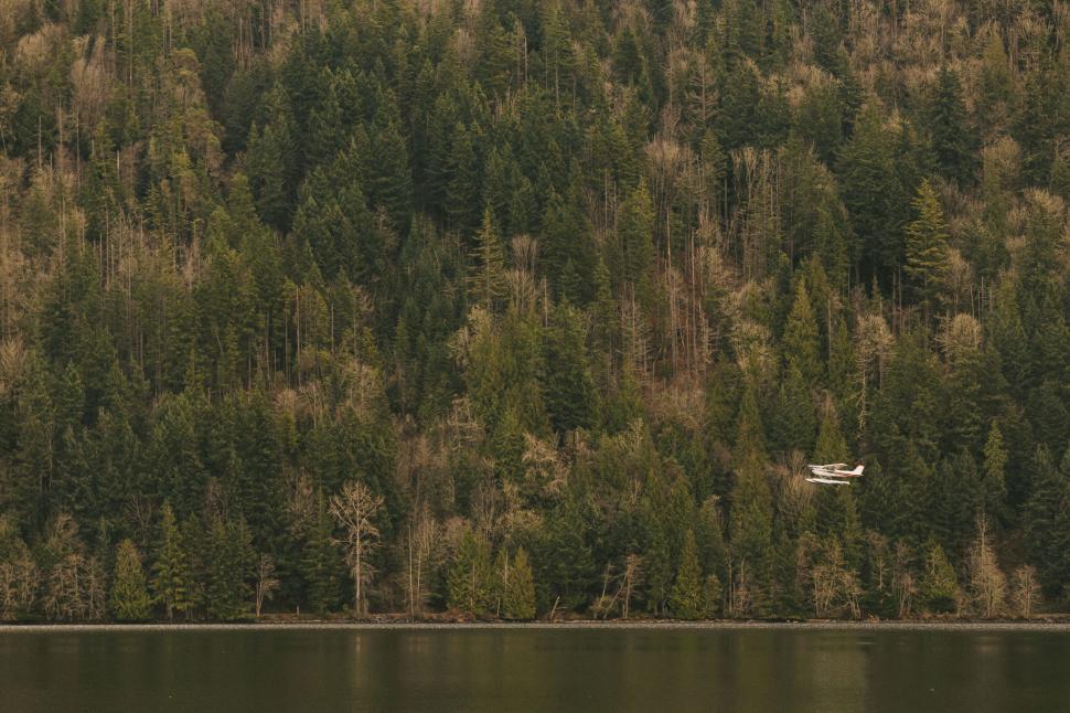 Free Image of Seaplane flying over dense forest near coastline view 