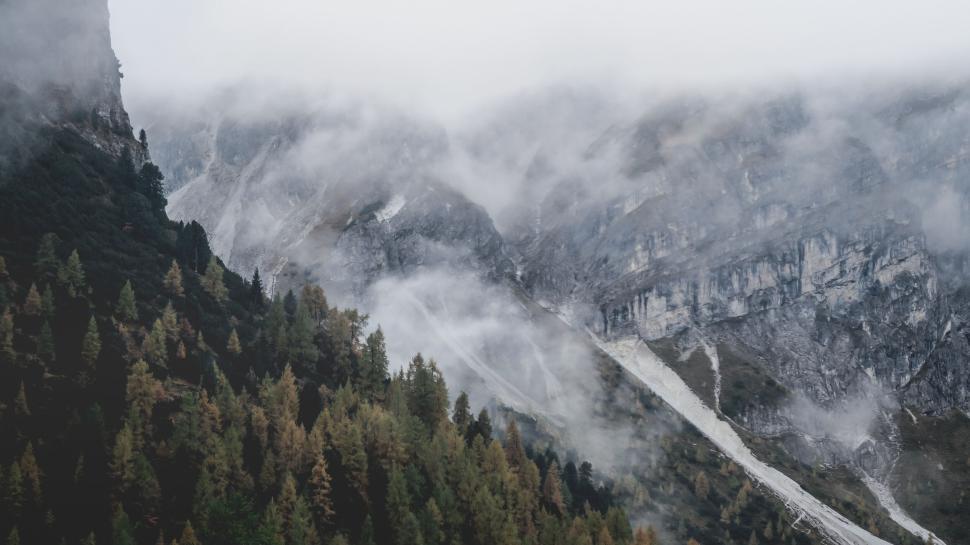 Free Image of Foggy mountain range with mist and autumn trees view 
