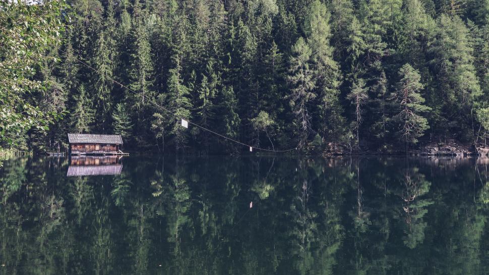 Free Image of Scenic view of a serene forest lake with reflecting trees 