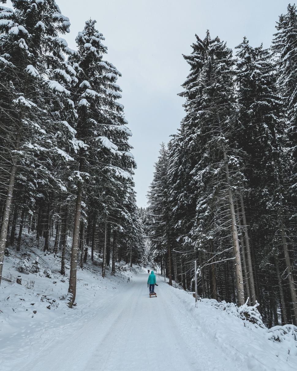 Free Image of Person walking in a snow-covered forest along a snowy path. 
