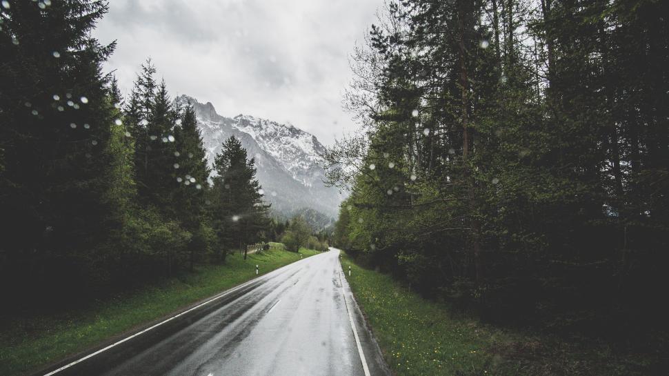 Free Image of Winding road through the forest on a rainy day scenery. 