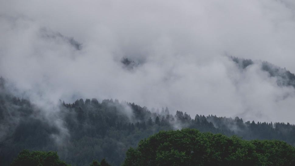 Free Image of Mist-covered forested mountain providing dramatic view. 