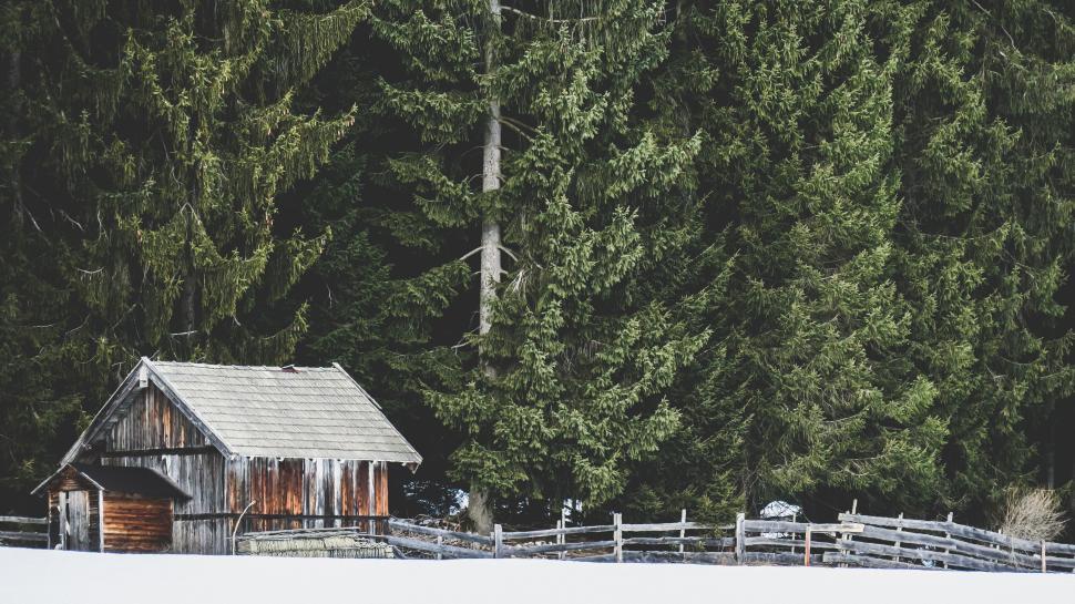Free Image of Rustic cabin amidst snow with pine forest background 