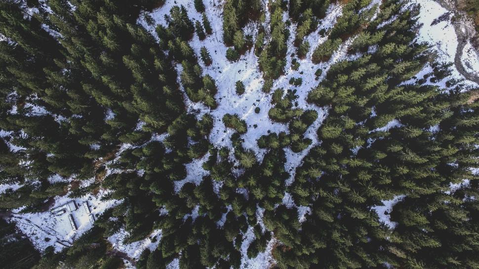 Free Image of Aerial view of forest with patches of snow landscape 