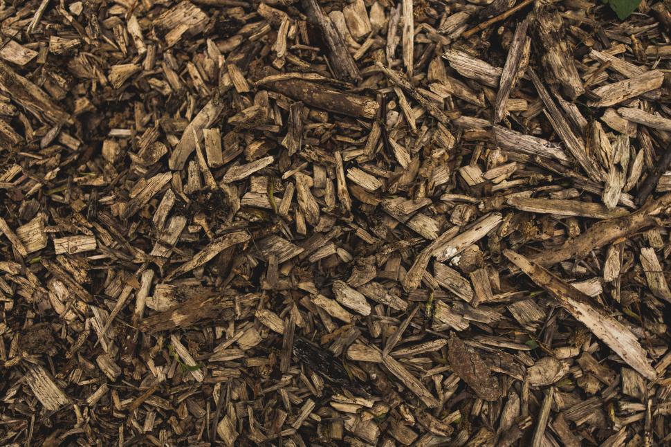 Free Image of Top view of natural wooden mulch spread on the ground 
