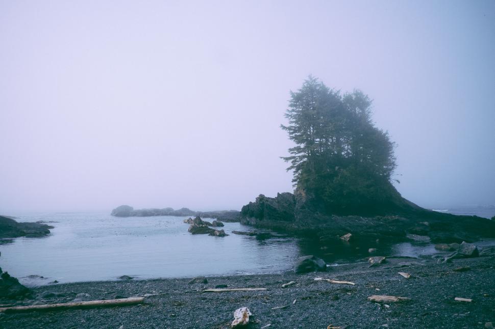 Free Image of Misty coastal scene with rocky shores and solitary trees 