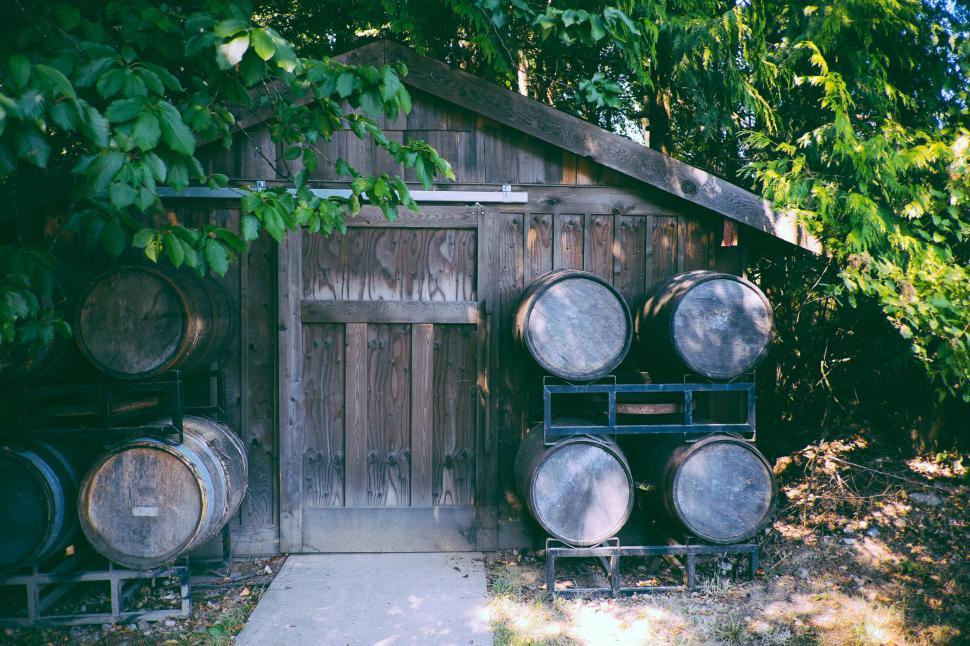 Free Image of Wooden shed with stacked barrels in a forest setting 