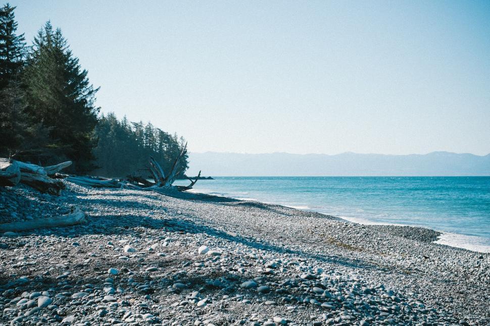 Free Image of Rocky beach with driftwood and calm blue ocean waves 