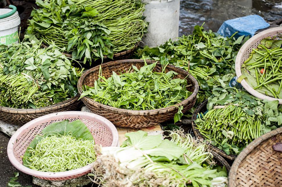 Free Image of Baskets of fresh green leafy vegetables at marketplace 