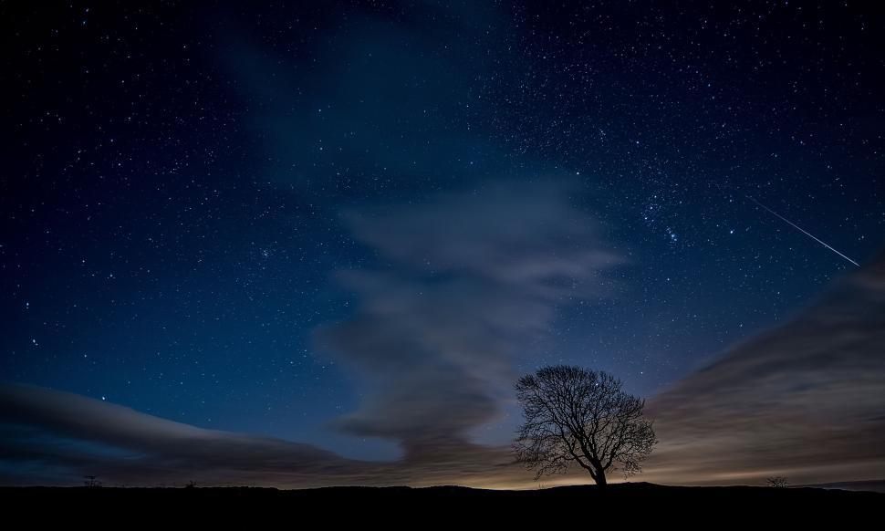 Free Image of Starry night with silhouetted tree under dark sky. 