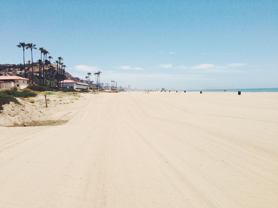 Free Image of Empty beach with palm trees under clear blue sky. 