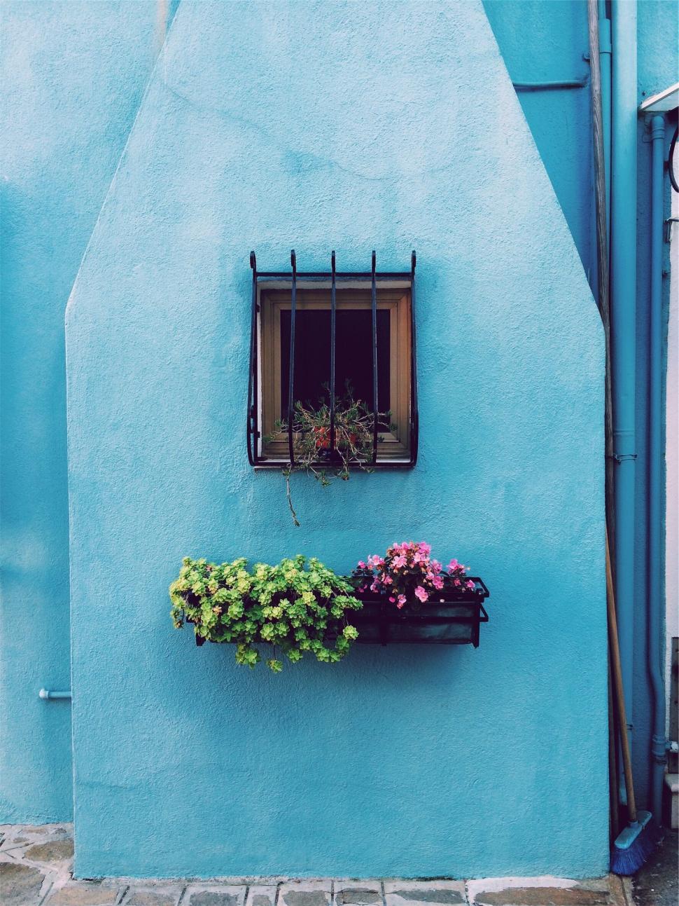 Free Image of Blue wall with window and flower pot in daylight. 