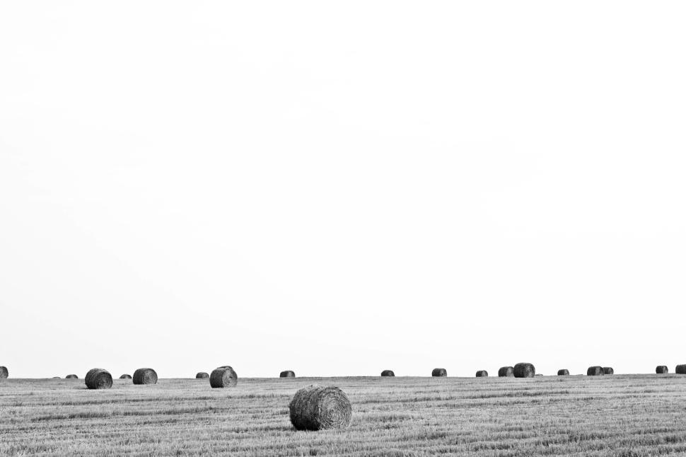 Free Image of Bales of hay scattered across vast open field. 
