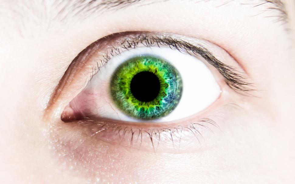 Free Image of Close-up of a vibrant green and blue eye 