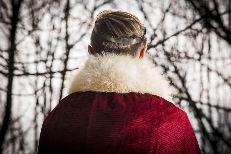 Free Image of Back view of a regal figure in a red cloak and crown 