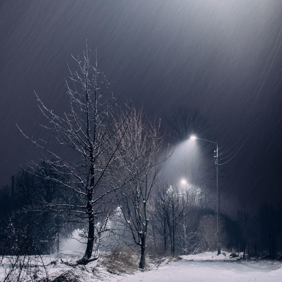 Free Image of Snowy night with illuminated street and bare trees. 