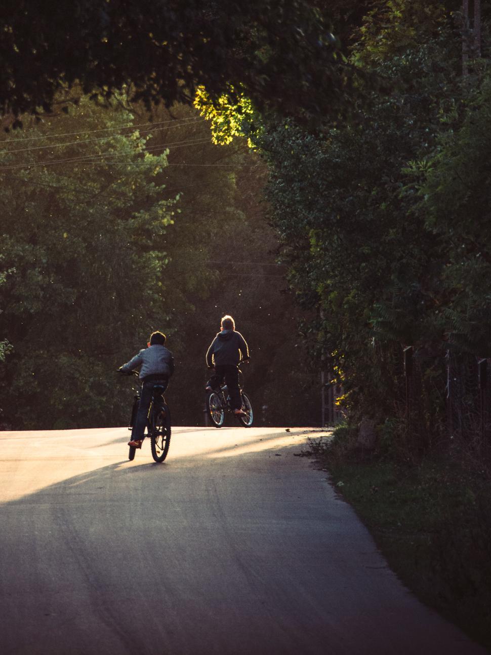 Free Image of Two people riding bicycles on a sunlit road. 