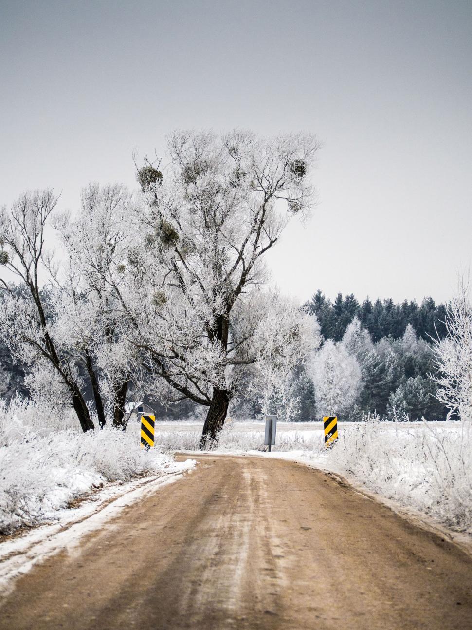 Free Image of Snow-covered dirt road with leaning trees and winter landscape 