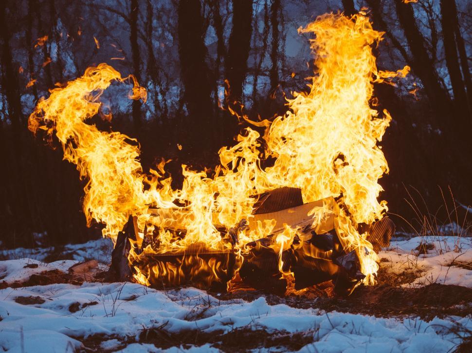 Free Image of Large bonfire burning brightly in a snowy forest. 