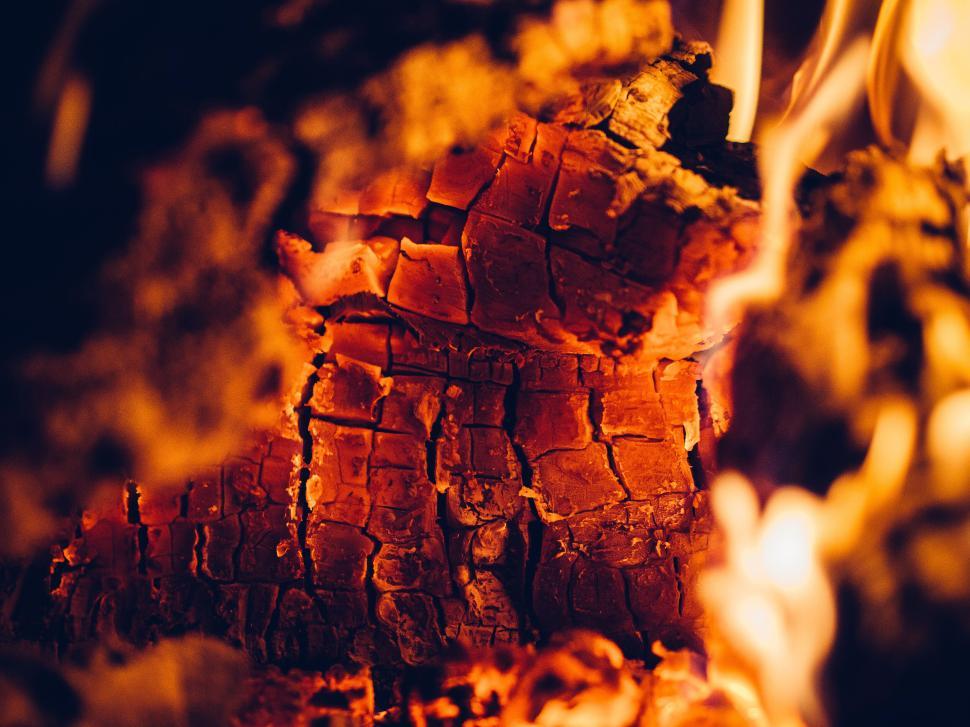 Free Image of Close-up of burning wood in a fire showing details 