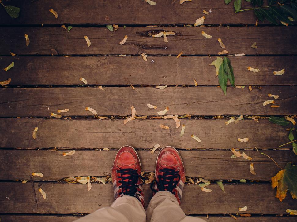 Free Image of Red sneakers on wooden path covered with leaves. 