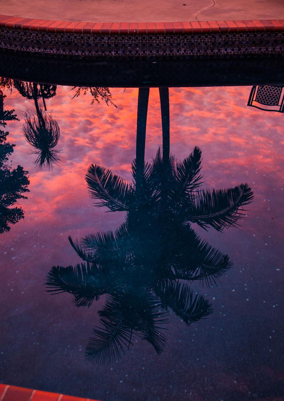 Free Image of Palm Trees Reflected in Pool at Dusk with Pink Skies 
