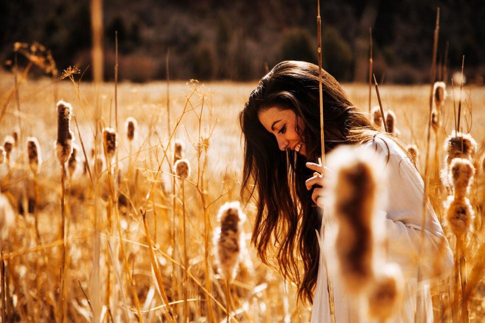 Free Image of Person amidst tall dried plants in a sunlit field. 