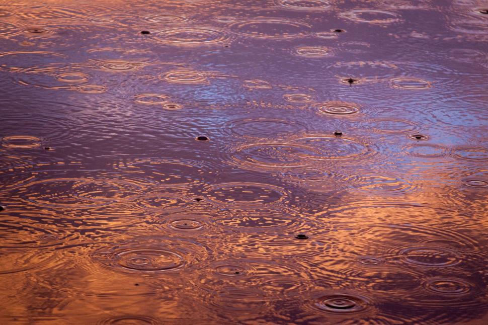Free Image of Close-up of raindrops creating ripples on water surface. 