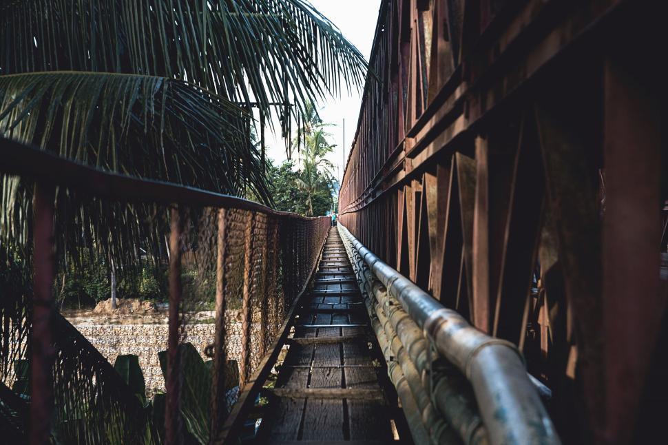 Free Image of Long narrow bridge with leafy surroundings in the evening 