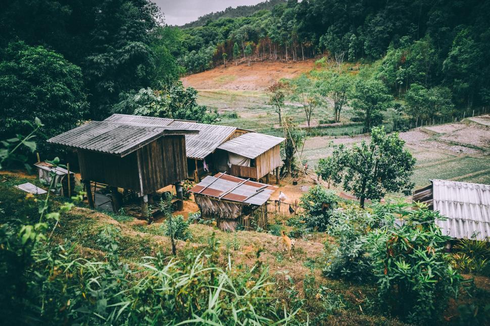 Free Image of Rustic rural scene with wooden houses in the countryside. 