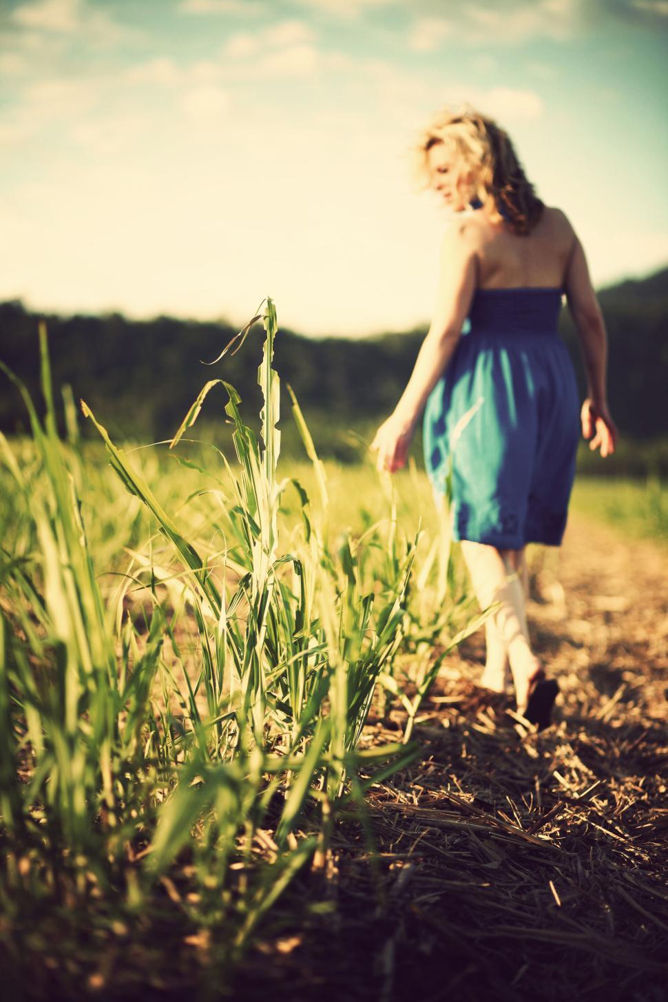 Free Image of Woman walking through sunlit field wearing blue dress 