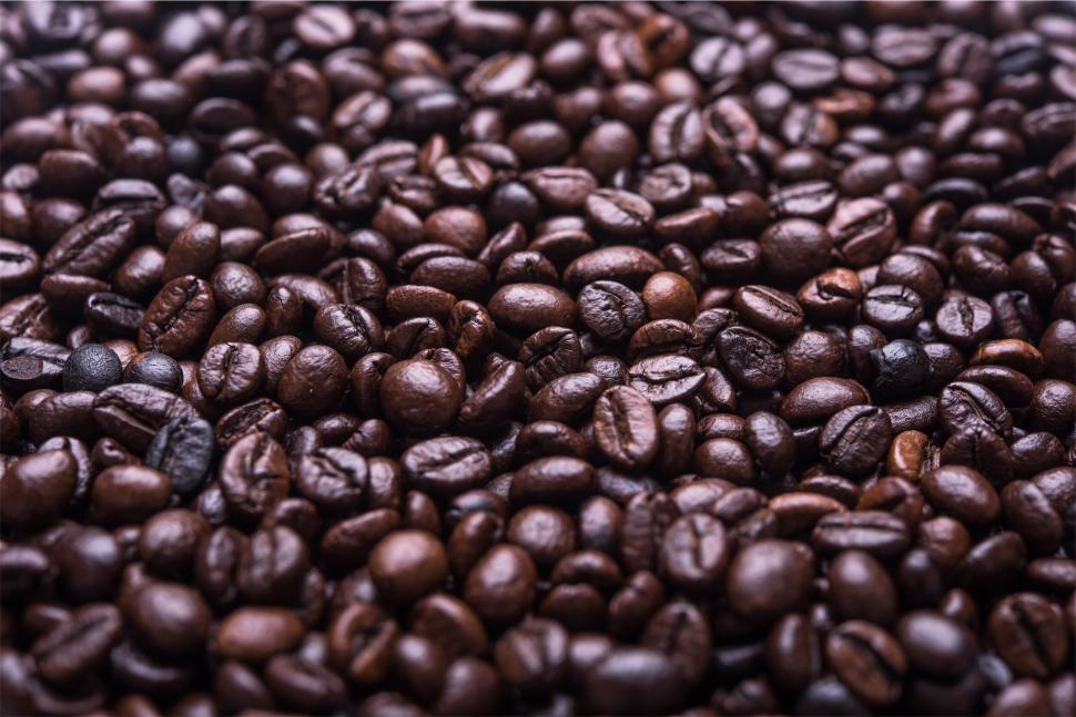 Free Image of Close-up of roasted coffee beans in rich detail 