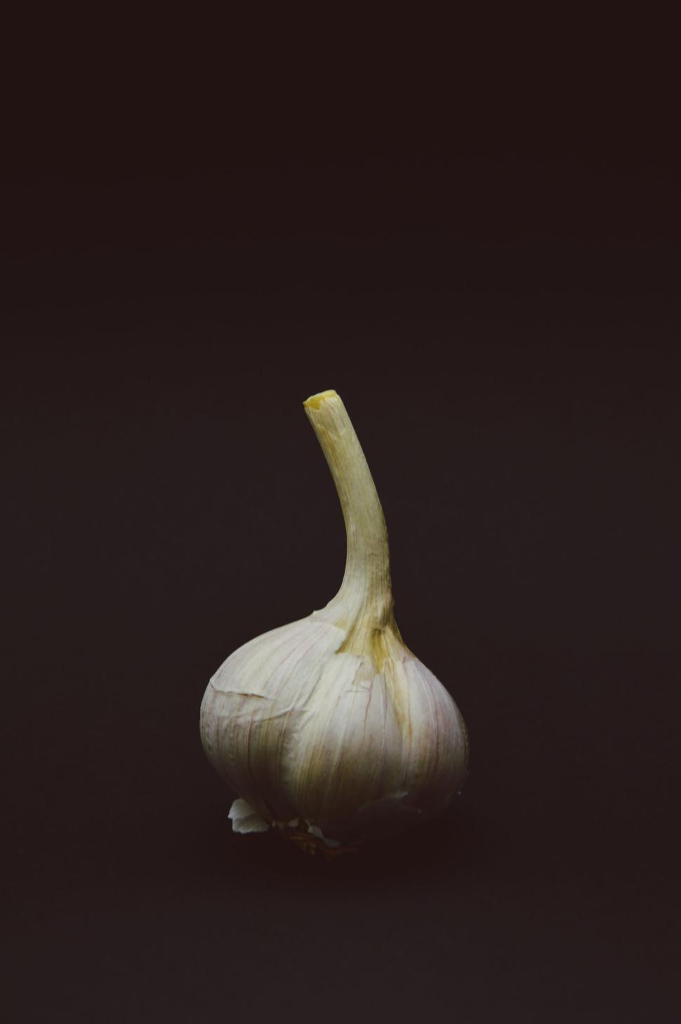 Free Image of Single garlic bulb on dark background isolated view 