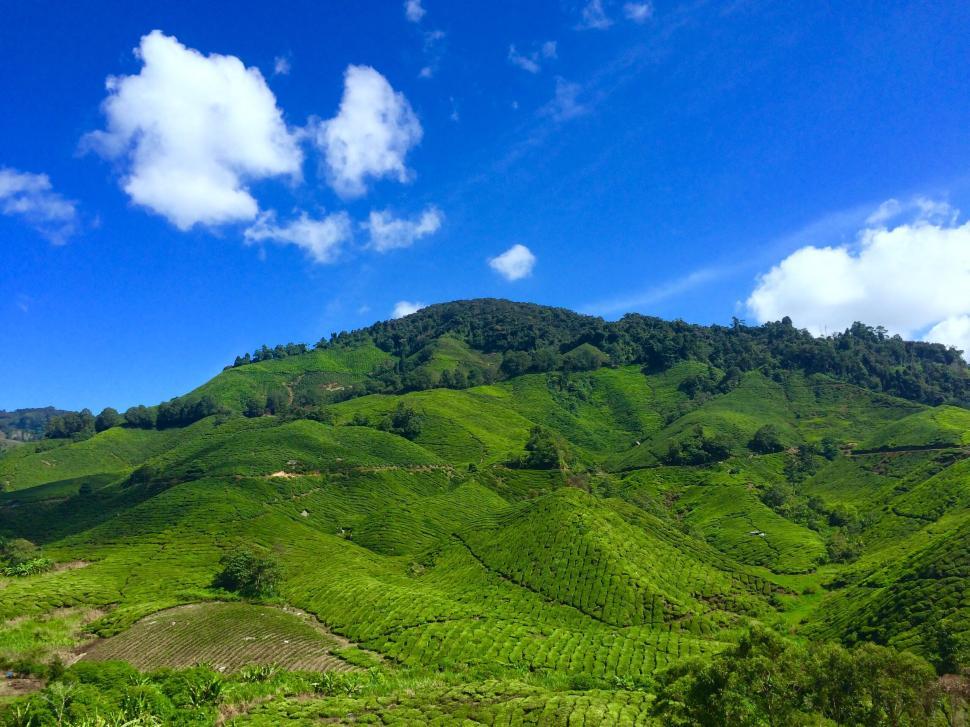 Free Image of Rolling green hills under a vibrant blue sky with clouds 
