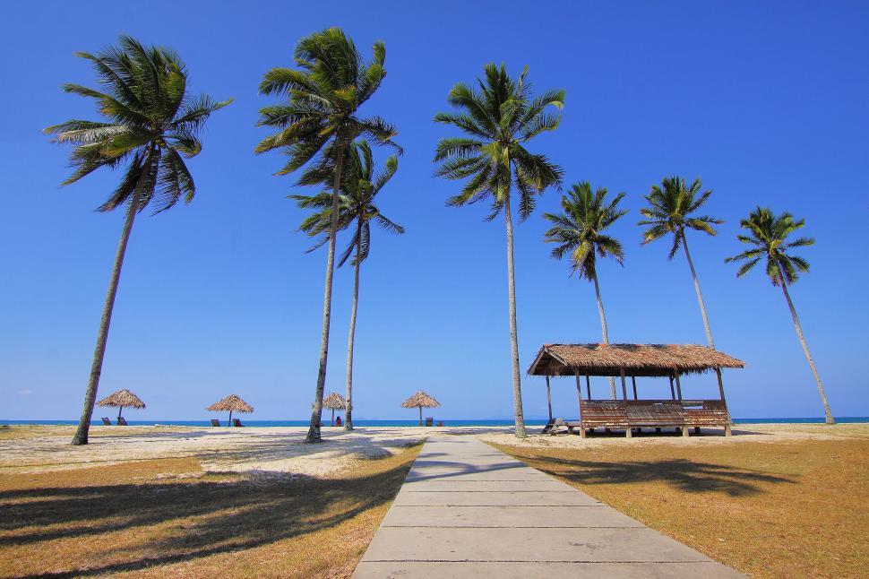 Free Image of Beach huts and palm trees idyllic tropical holiday scenery 