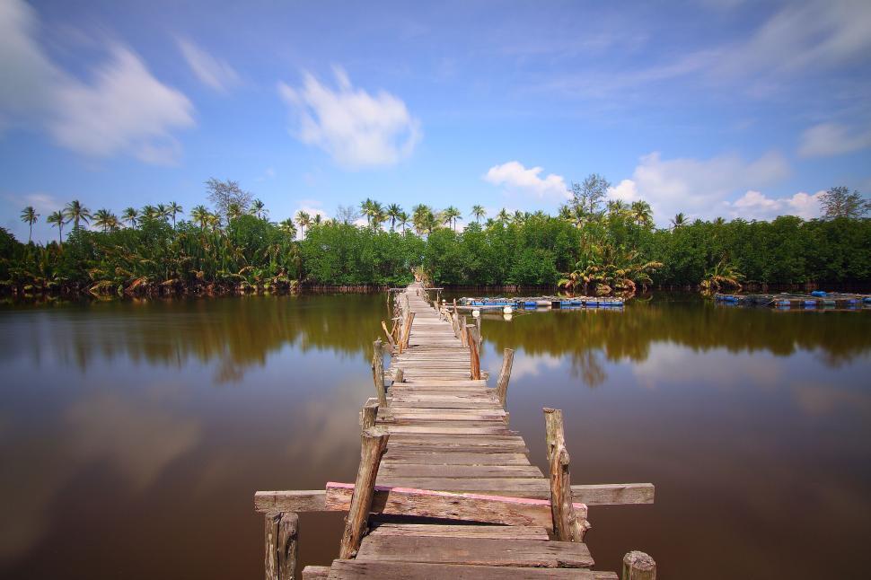 Free Image of Wooden bridge over calm river leading to lush green forest 
