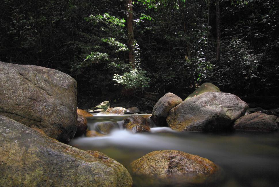 Free Image of Tranquil forest stream with large rocks and dense foliage. 