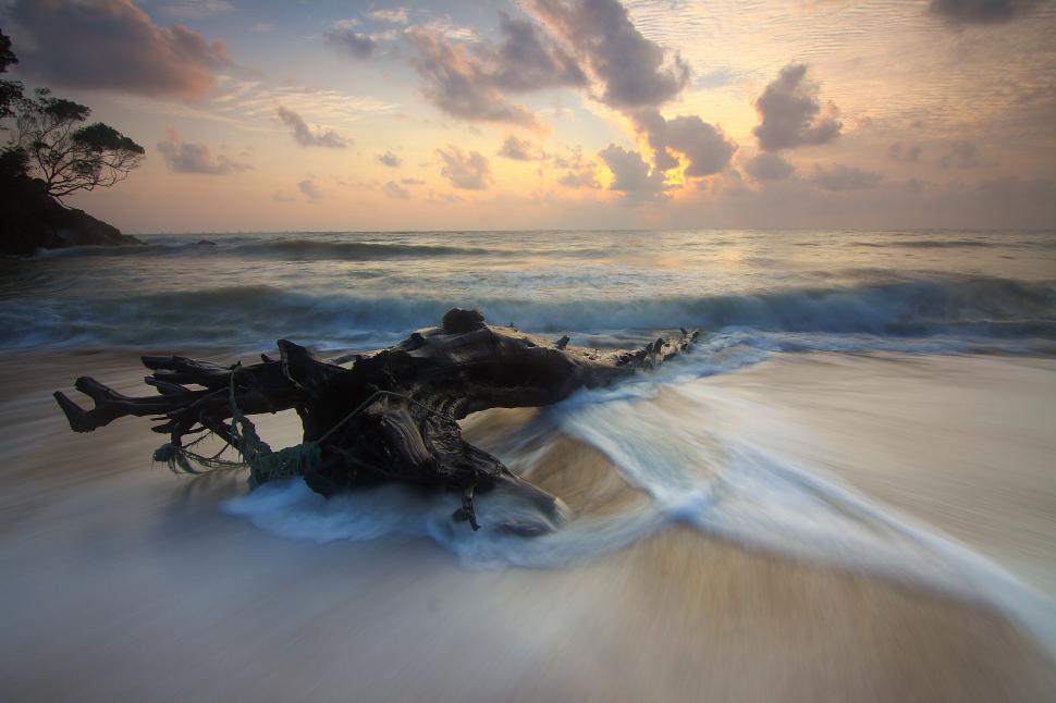 Free Image of Driftwood on beach during sunset with moving waves 