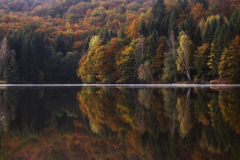 Free Image of Autumn trees reflecting on calm lake water surface 
