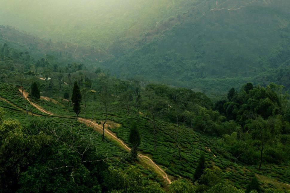 Free Image of A scenic view of lush green mountains with winding paths 